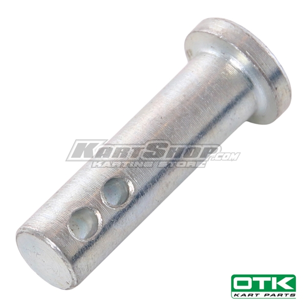 Pin 6 x 22 mm (2 holes)