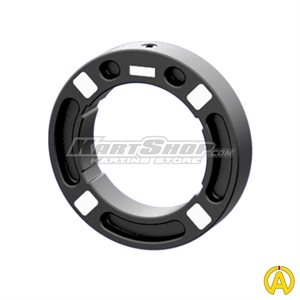 Magnetic Ring D50 mm, Ring with 4 Magnets