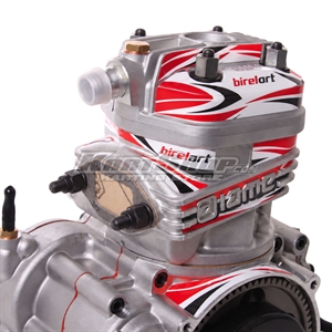 Stickers for X30 Head, Birel Art
