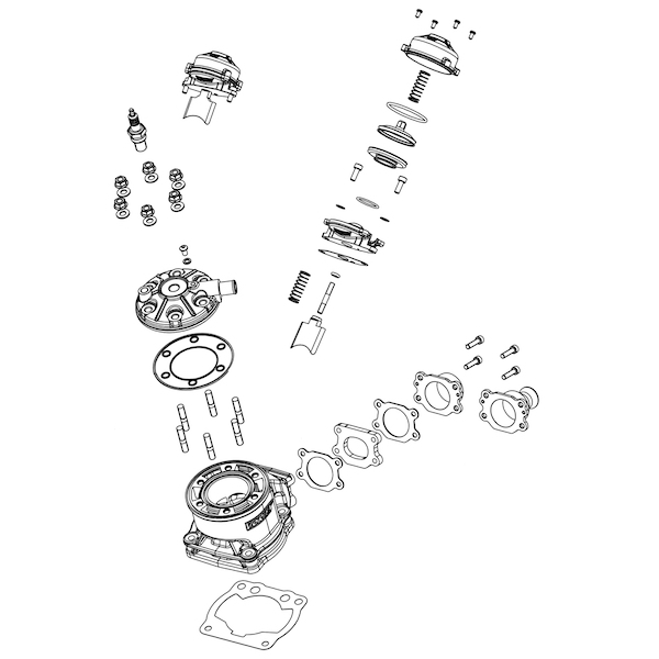 Cylinder / Cylinder Head