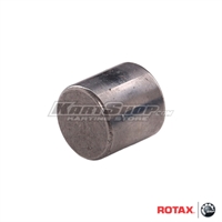 Pin for engine sprocket/clutch drum, Rotax Max