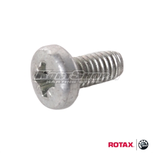 Screw M4 x 8 mm for Thermostat, Max / DD2