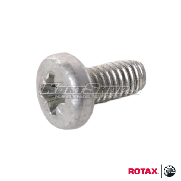 Screw M4 x 8 mm for Thermostat, Max / DD2