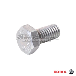 Hex. Screw M6 x 12 mm for Rotax DD2 Shift Contact
