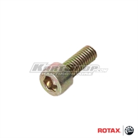 Bolt M6x16 MM for Power valve, Rotax Max