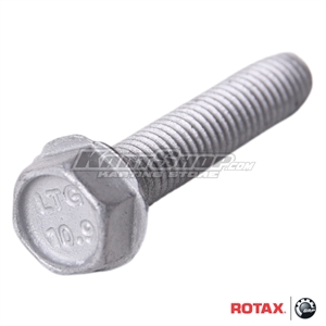 Bolt for Power valve, M5 x 25 mm