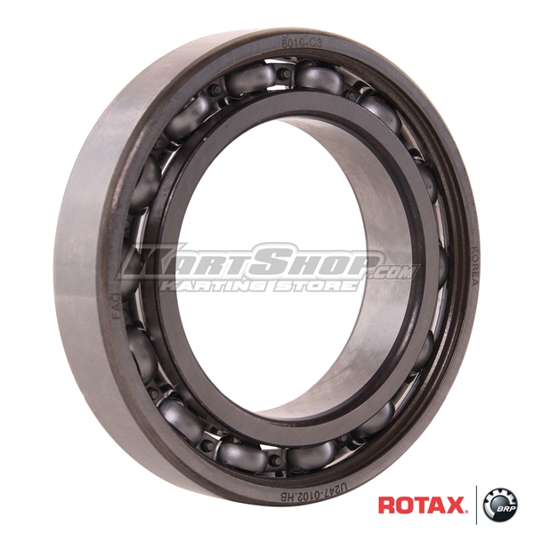 Bearing for Hollow Shaft, 6010 C3, Rotax DD2