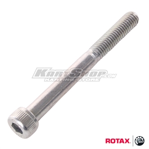 Bolt Allen M8 x 75 mm for Max / DD2 Radiator