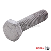 Head bolt M8 x 30 mm for Cylinder head, Rotax