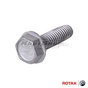 Bolt M6x20 mm for water house housing, Rotax DD2
