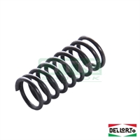 Gas valve spring, Dellorto VHSH