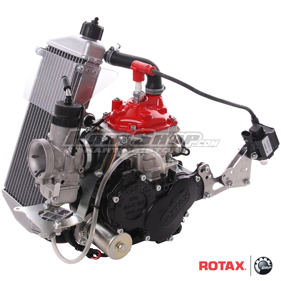 Rotax Mini Max Engine, Rotax Max Kart Engines