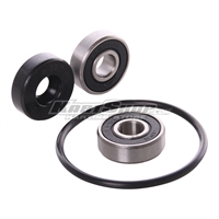Renovation kit for water pump