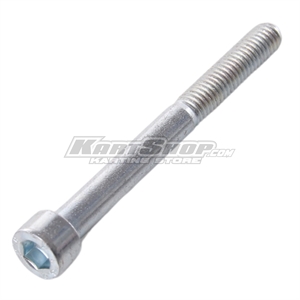 Bolt allen, M6 x 60 mm