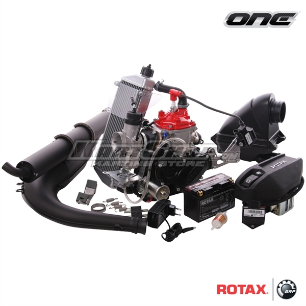 Rotax 125 Mini Max Evo, One Engines