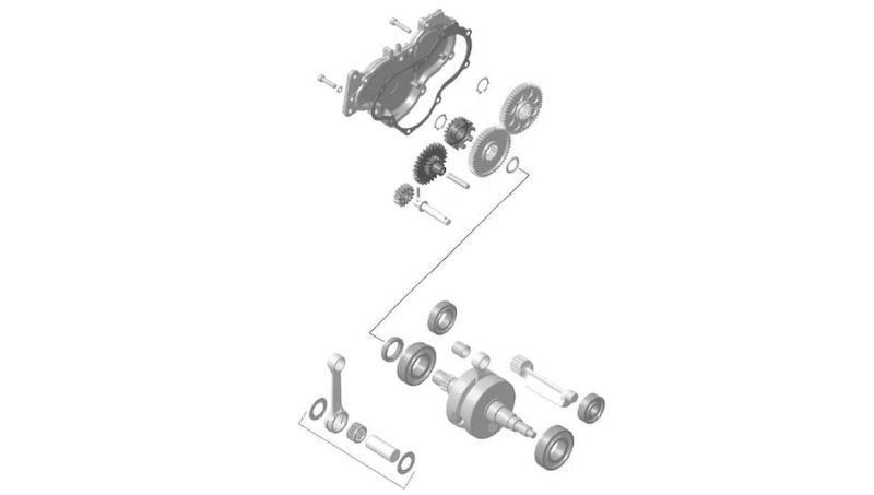 RotaxKrumtap.webp