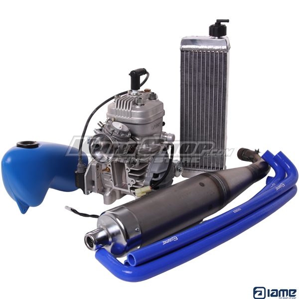 Engine, Iame X30 Water Swift