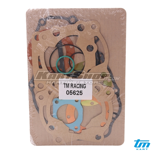 Gasket and OR Kit for Engine, TM KZ R1