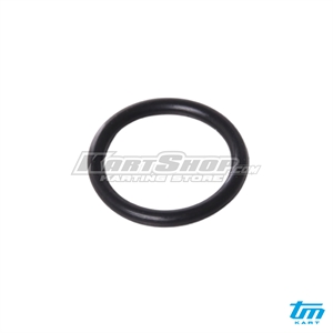 O-Ring, Primary Gear Cover, 2050, R3