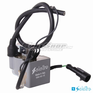Ignition Coil, Selettra, Mini 4 2026