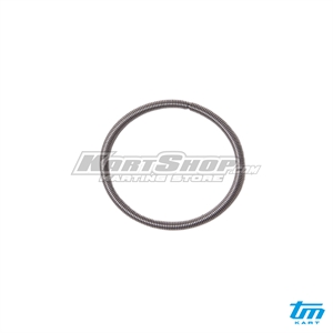Spring fixing membrane