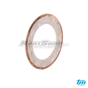 Washer Silver, D22 x 1 mm V2