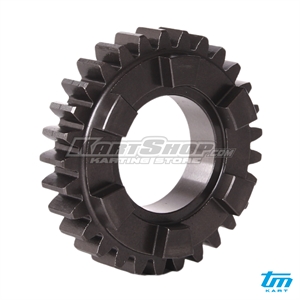 Gear 5th Primary Shaft, Z29, R3