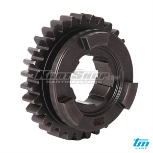 Gear 5th countershaft, Z31, R3