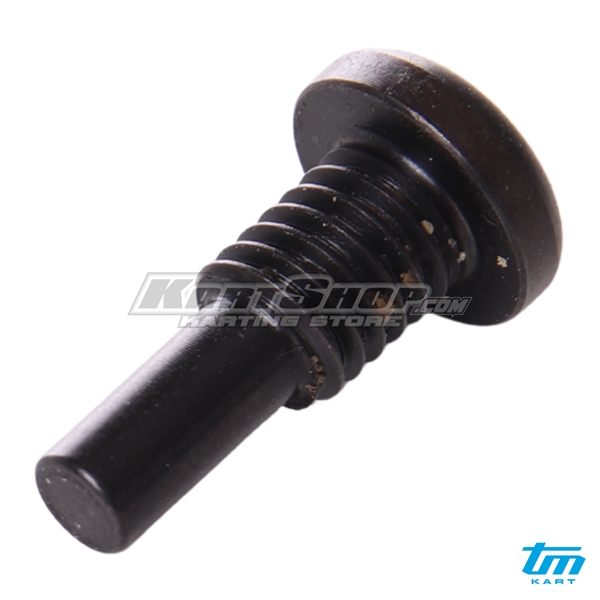 Clutch lever retain screw, KZ