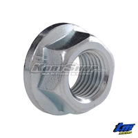 Nut for Ignition, TM