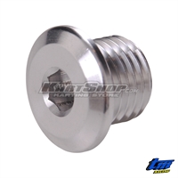 Oil fill plug