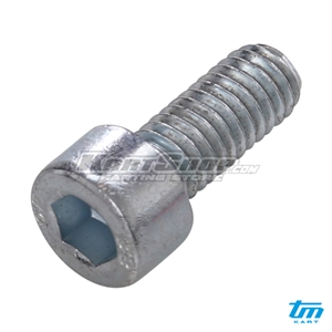 Bolt allen, M6 x 14 mm