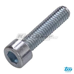 Bolt allen, M6 x 25 mm