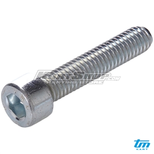 Bolt allen, M6 x 30 mm