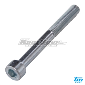 Bolt allen, M6 x 55 mm