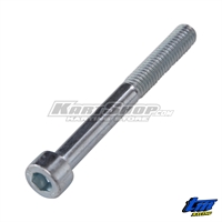 Bolt TCEI M6 x 55 mm, TM