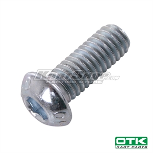 Screw Rounded Head M6