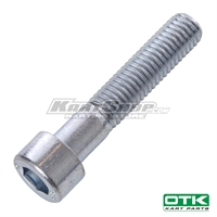 Bolt allen t M10 x 50 mm