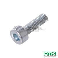Inox screw M3 x 10mm