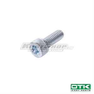 Bolt allen M6 x 16 mm