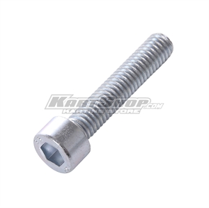 Screw Allen head M6