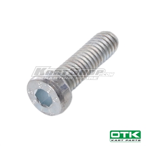 Bolt allen, M6 x 20 mm