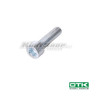 Bolt allen M6 x 22mm