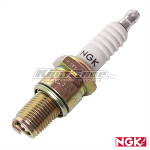 Spark plug, B8EG