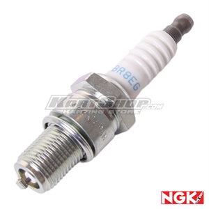 Spark plug, BR8EG